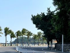 -港珠澳大桥(珠海段)