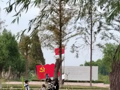 -洪湖生态旅游区