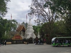 -西双版纳傣族园
