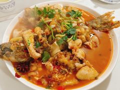 -煲来饱去冷水鱼