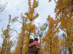 -百林公园-两江幸福广场