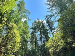 -芦芽山旅游度假区
