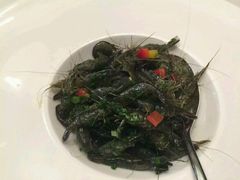 -西郊壹号
