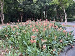 -南宁南湖公园