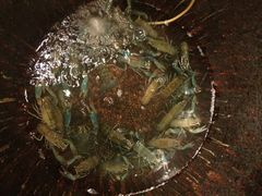 -文儒九号·闽菜馆(三坊七巷店)