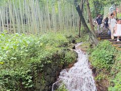 -莫干山风景区