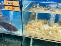 -胖大嫂渔家排档(半边山店)