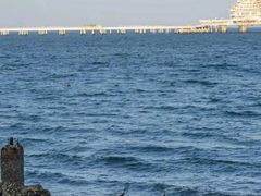 -青岛第一海水浴场