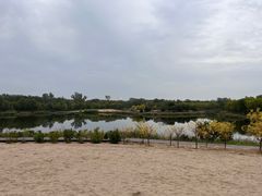 -东郊湿地公园