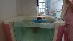 -敦南真爱月子会所(黄埔店)