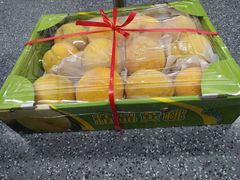 -江杨农产品批发市场