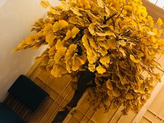 -一本钓鲔鱼屋