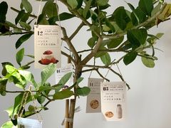 -Oasis coffee燕谷咖啡(公信店)