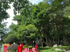 -神仙树公园