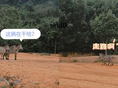 -杭州野生动物世界
