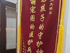 -宠爱国际动物医院·消化内科·心肾内科·ISFM猫友好(望京店)
