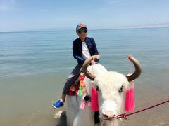 -青海湖国家重点风景名胜区