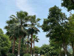 -府河摄影公园