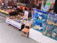 -清平路水族市场