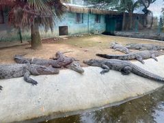 -泉州海丝野生动物世界