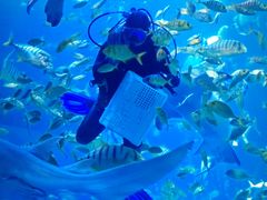 -太平洋海底世界