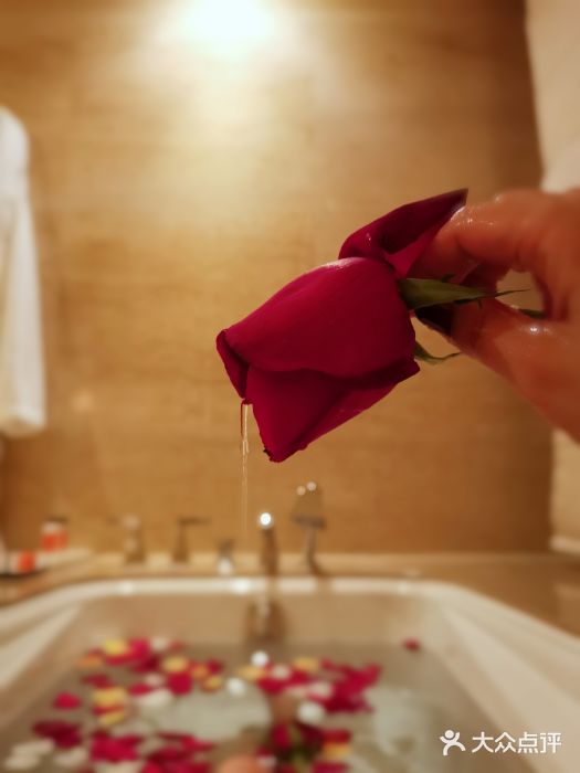 北京四季酒店图片