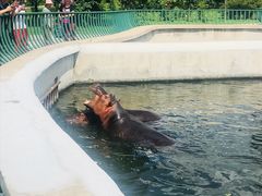 -哈尔滨北方森林动物园
