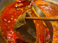 -DaLongYi Hotpot - 大龙燚火锅 - 地道四川老火锅