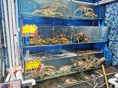 水产区-蚝专家(北滘店)