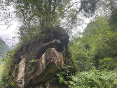 -西岭雪山大飞水景区