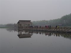 -溱湖国家湿地公园