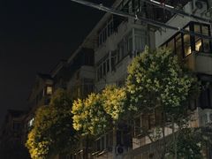-黑皮酸菜鱼(绣花巷店)