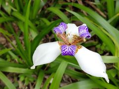 -福田红树林生态公园