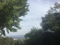 -阳台山自然风景区