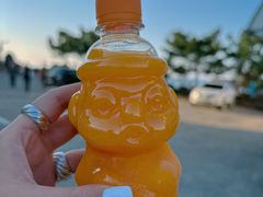 -龙头岩(Dragon Head Rock)