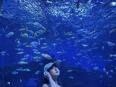 -海合安成都极地海洋公园