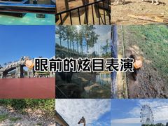 -安徽大青山野生动物世界