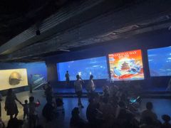 -重庆欢乐海底世界
