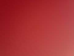 -真利味·脊骨火锅·正宗韩国料理(韩乐坊店)