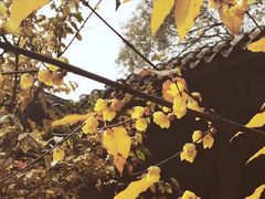 -宝光寺