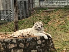 -西安秦岭野生动物园