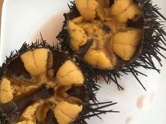 -海胆小馆(东北水饺·春柳店)