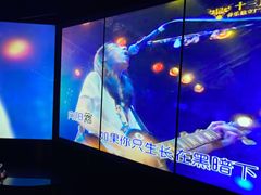 -纯K(打浦桥店)