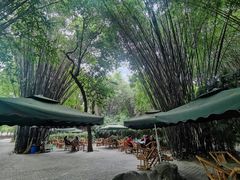 -望江楼公园
