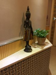 -静博士养生美容