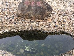 -侵华日军南京大屠杀遇难同胞纪念馆