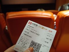 -华美国际影城(旧宫永辉店)