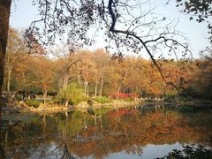 -灵谷景区