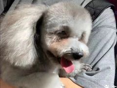 -邢大夫动物医院