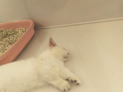 -昆山招商花园城